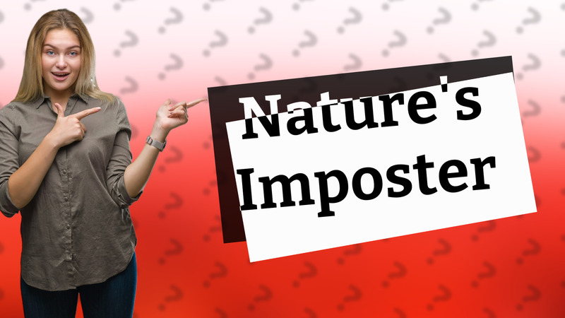 Nature's Imposter