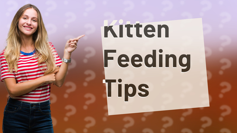 Kitten Feeding Tips