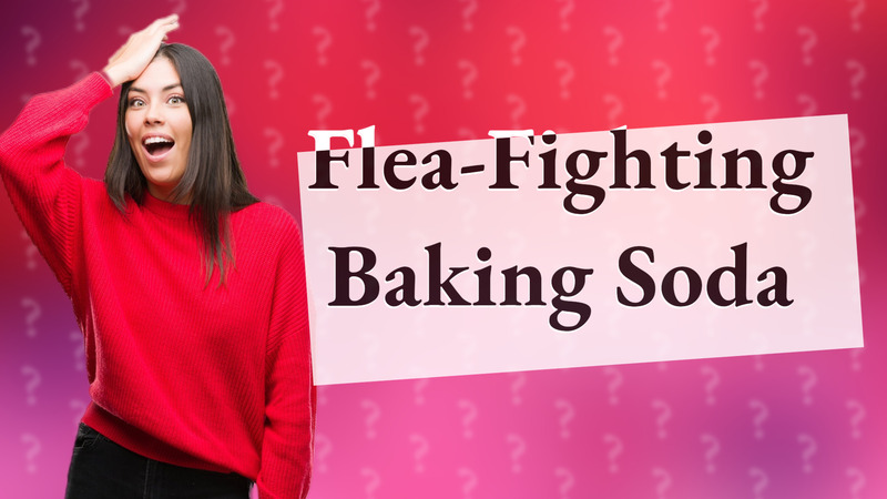 Flea-Fighting Baking Soda