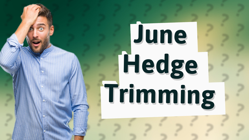 June Hedge Trimming