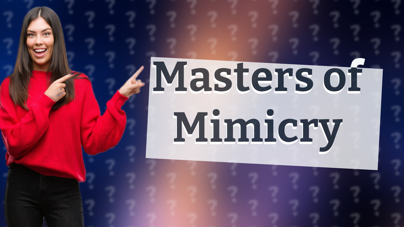 Masters of Mimicry