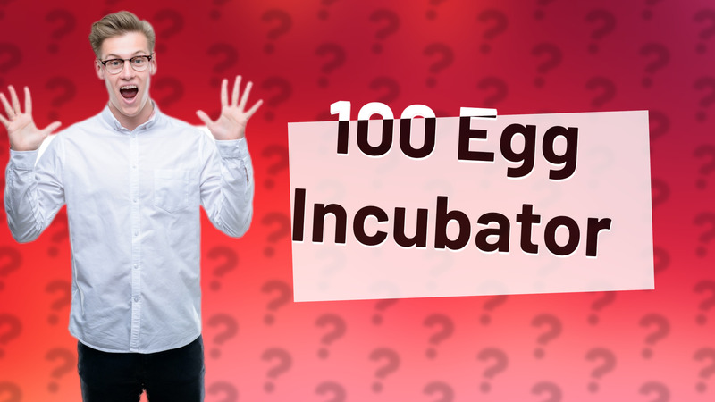 100 Egg Incubator