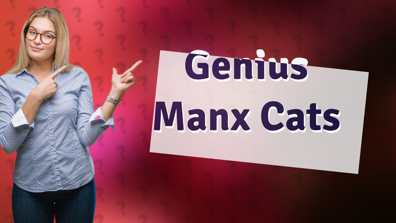 Genius Manx Cats
