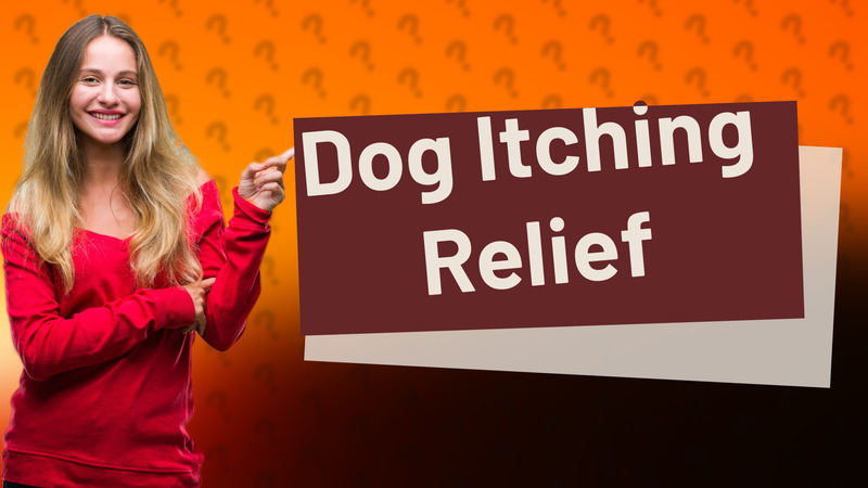 Dog Itching Relief