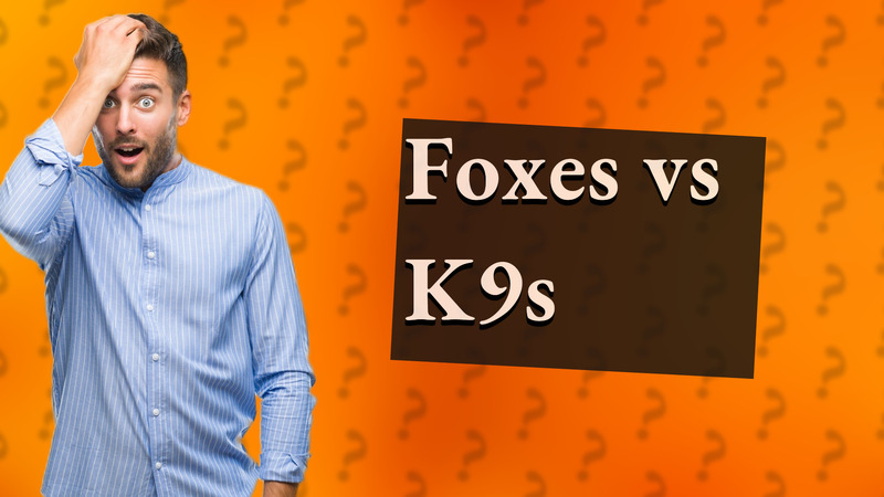 Foxes vs K9s