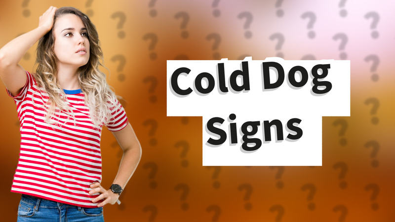 Cold Dog Signs