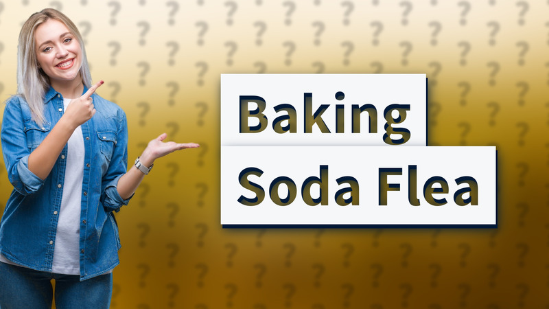 Baking Soda Flea