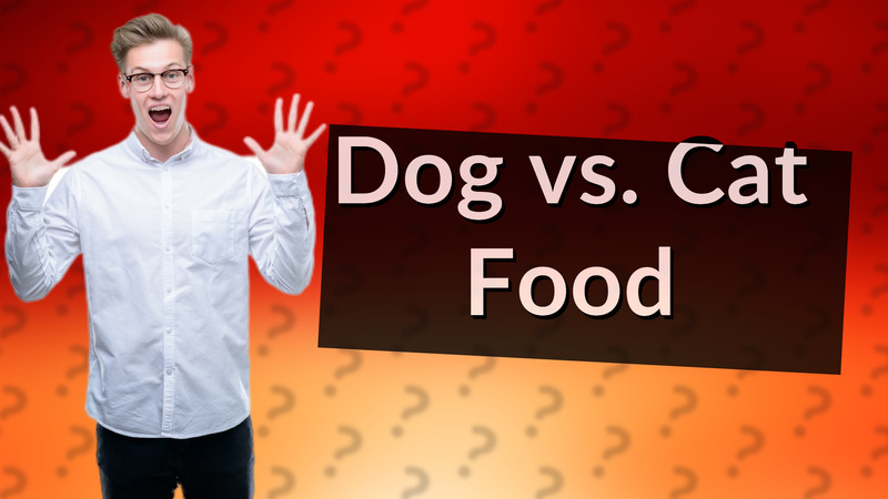 Dog vs. Cat Food