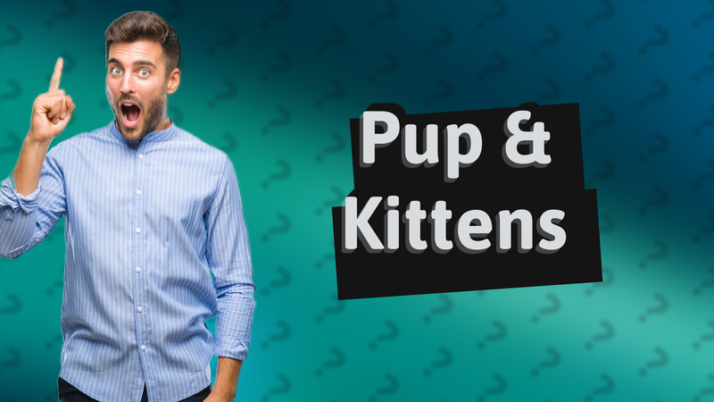 Pup & Kittens