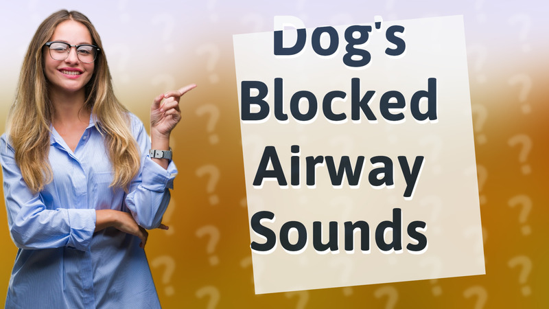 Dog's Blocked Airway Sounds