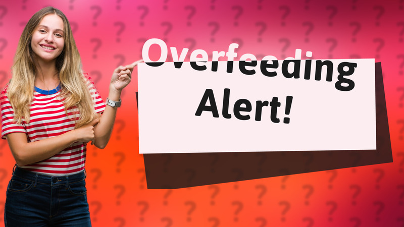 Overfeeding Alert!