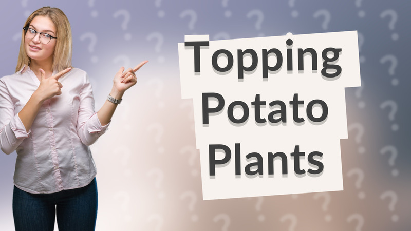 Topping Potato Plants