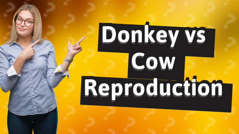 Donkey vs Cow Reproduction