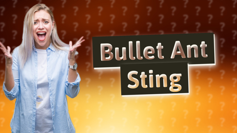 Bullet Ant Sting
