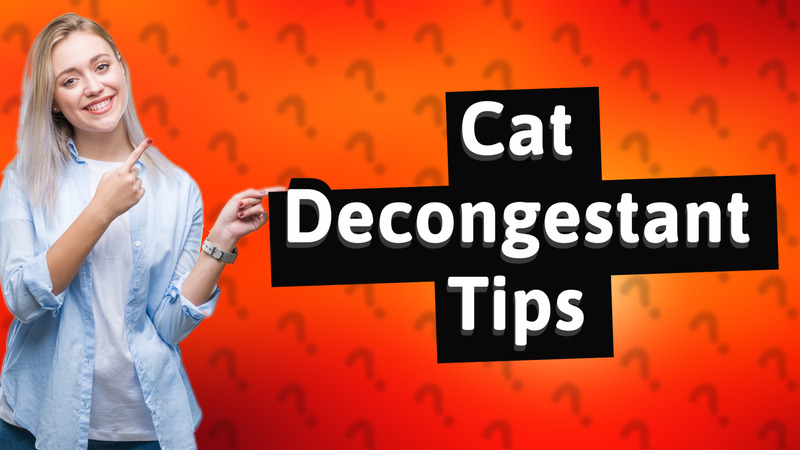 Cat Decongestant Tips