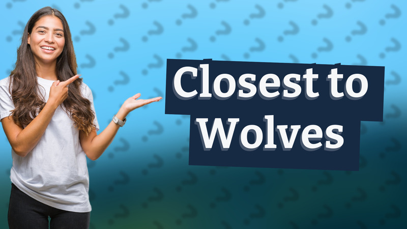 Closest to Wolves