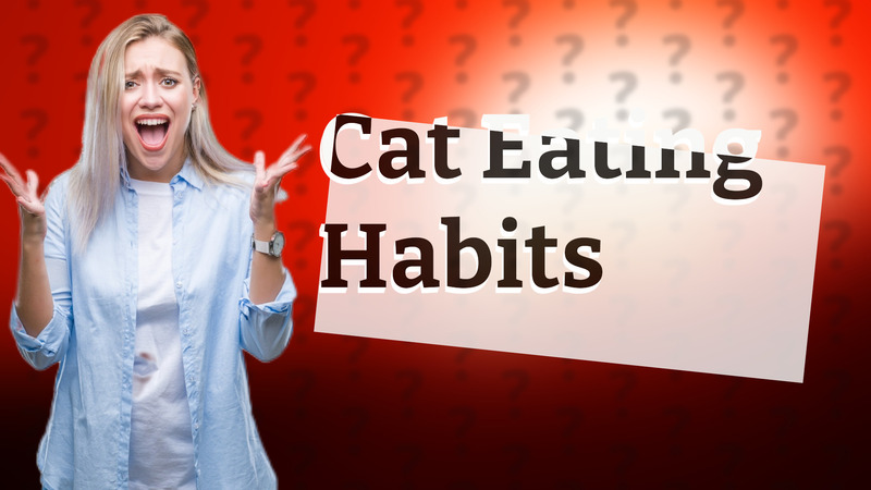 Cat Eating Habits