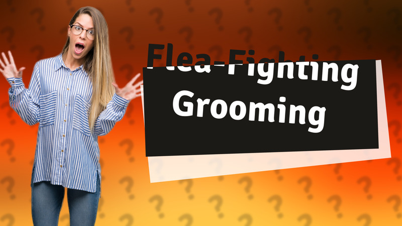 Flea-Fighting Grooming