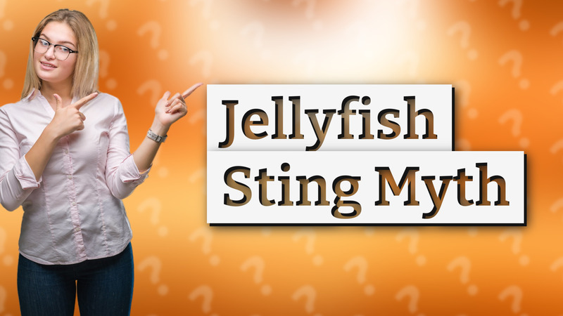 Jellyfish Sting Myth