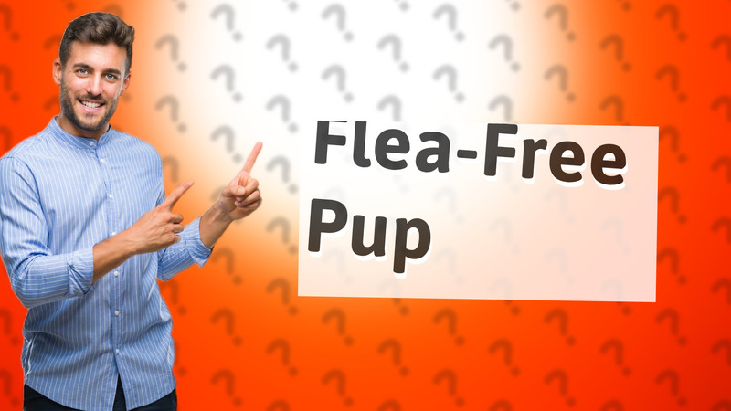 Flea-Free Pup