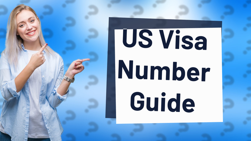 US Visa Number Guide