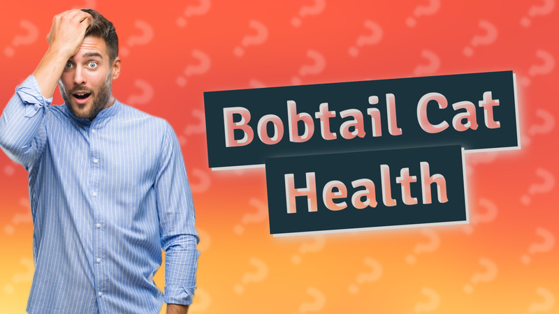 Bobtail Cat Health