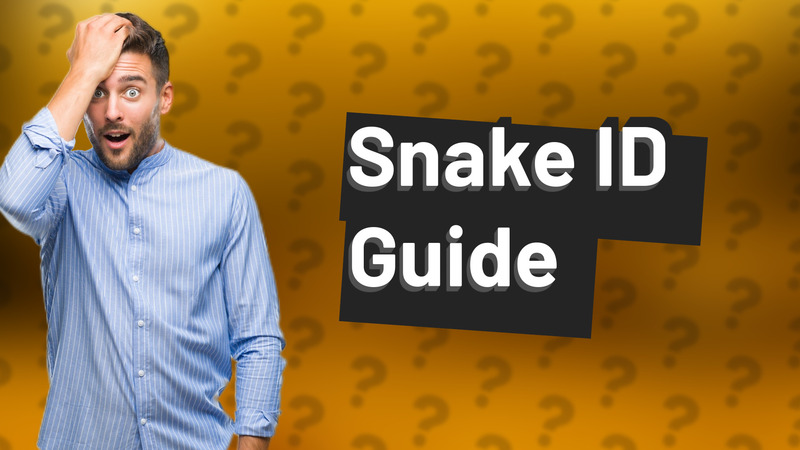 Snake ID Guide