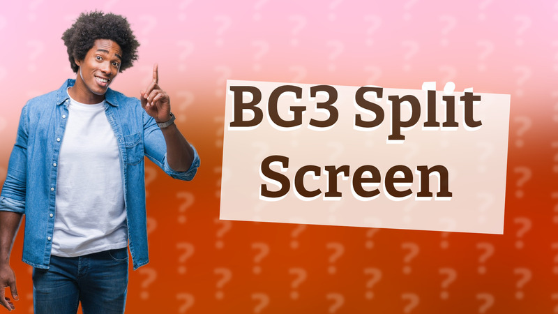 BG3 Split Screen