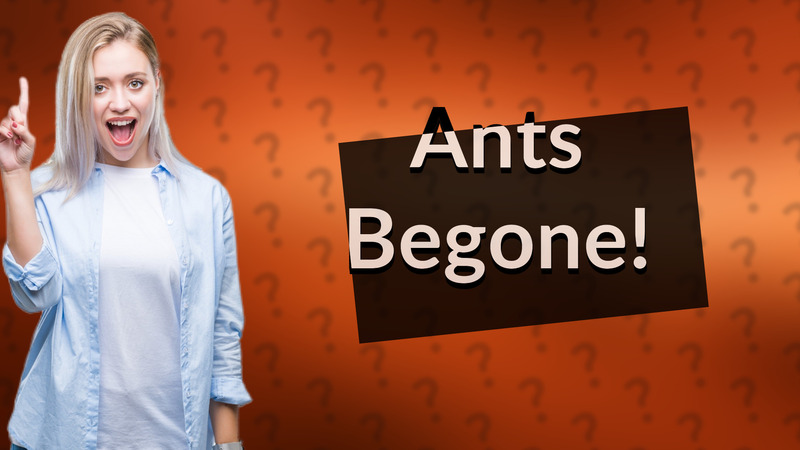 Ants Begone!