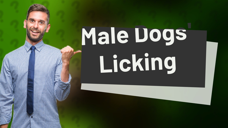 Male Dogs' Licking