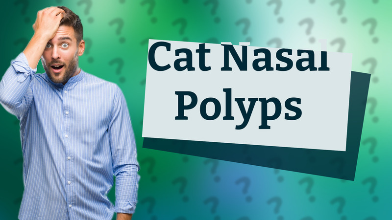 Cat Nasal Polyps