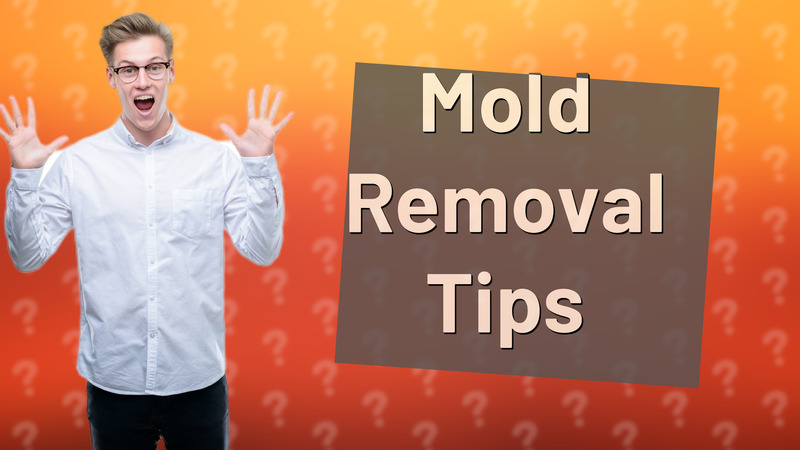 Mold Removal Tips