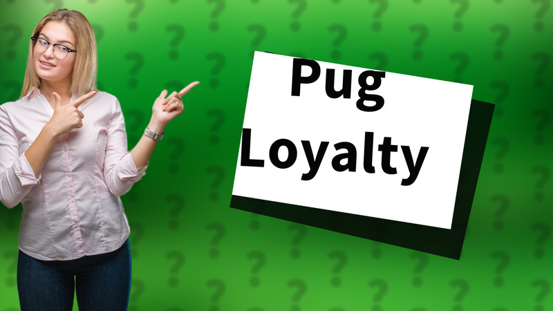 Pug Loyalty
