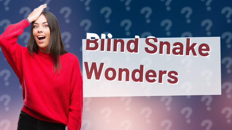 Blind Snake Wonders