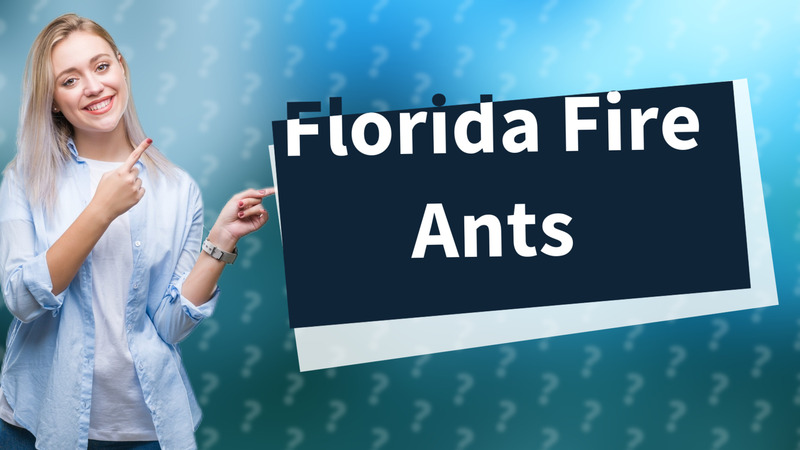 Florida Fire Ants