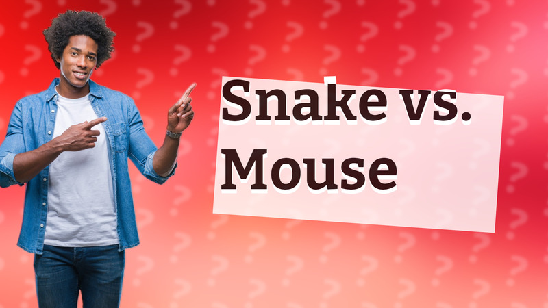 Snake vs. Mouse