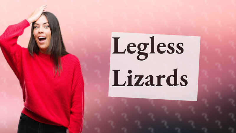 Legless Lizards