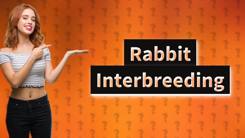 Rabbit Interbreeding