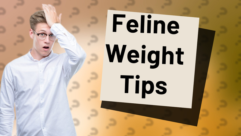 Feline Weight Tips