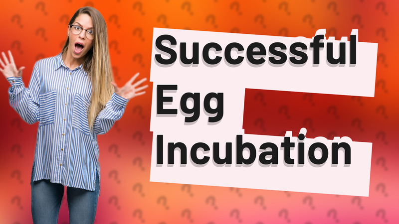 Successful Egg Incubation