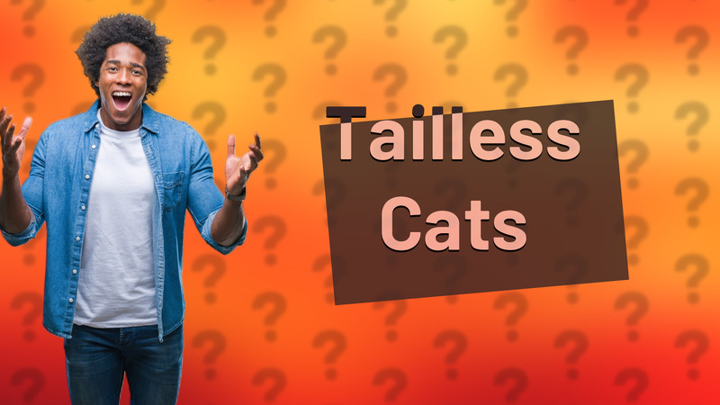 Tailless Cats