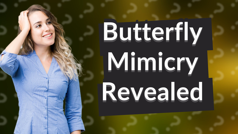 Butterfly Mimicry Revealed