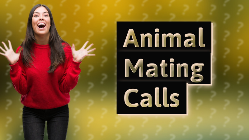 Animal Mating Calls
