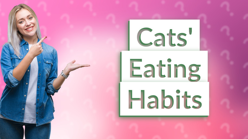 Cats' Eating Habits
