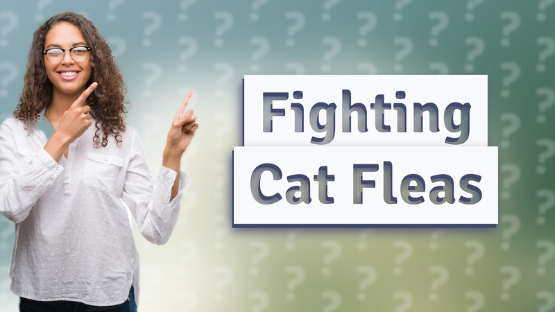 Fighting Cat Fleas