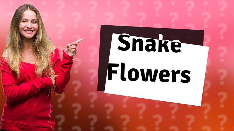 Snake Flowers