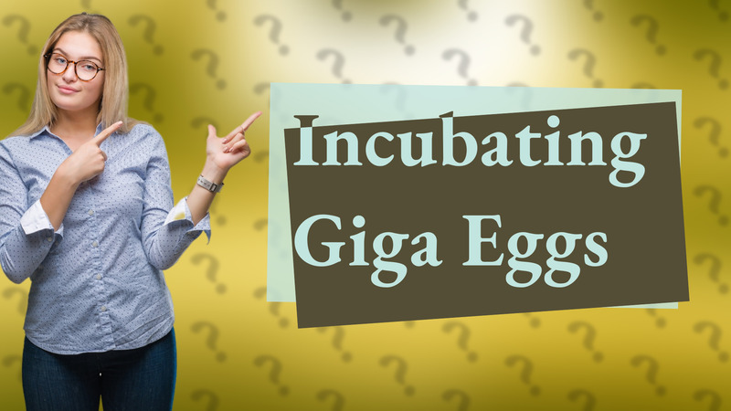 Incubating Giga Eggs