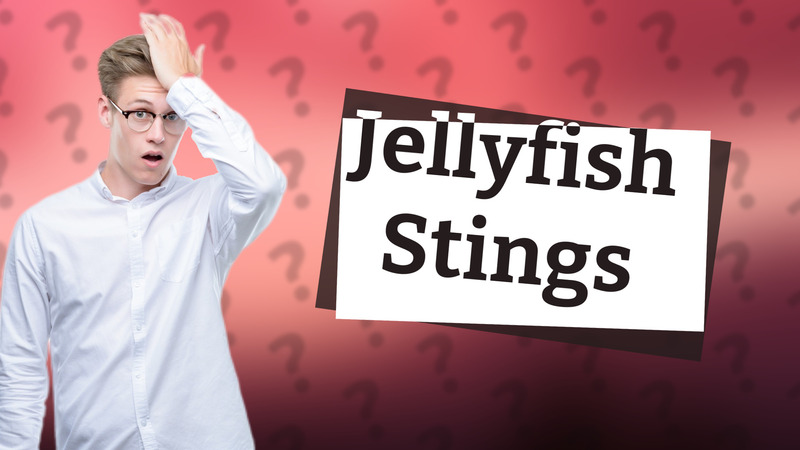 Jellyfish Stings