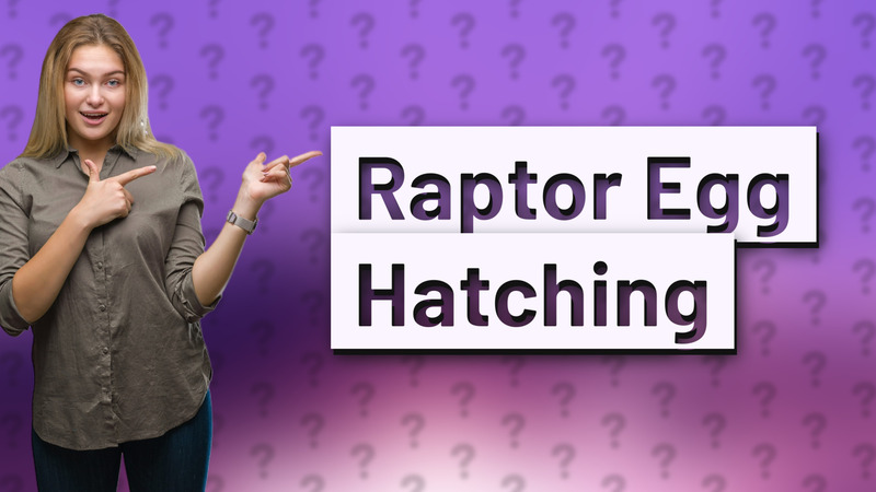 Raptor Egg Hatching