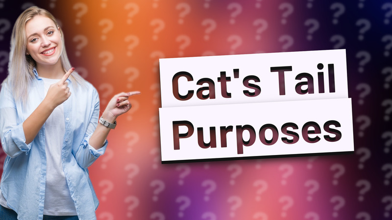 Cat's Tail Purposes